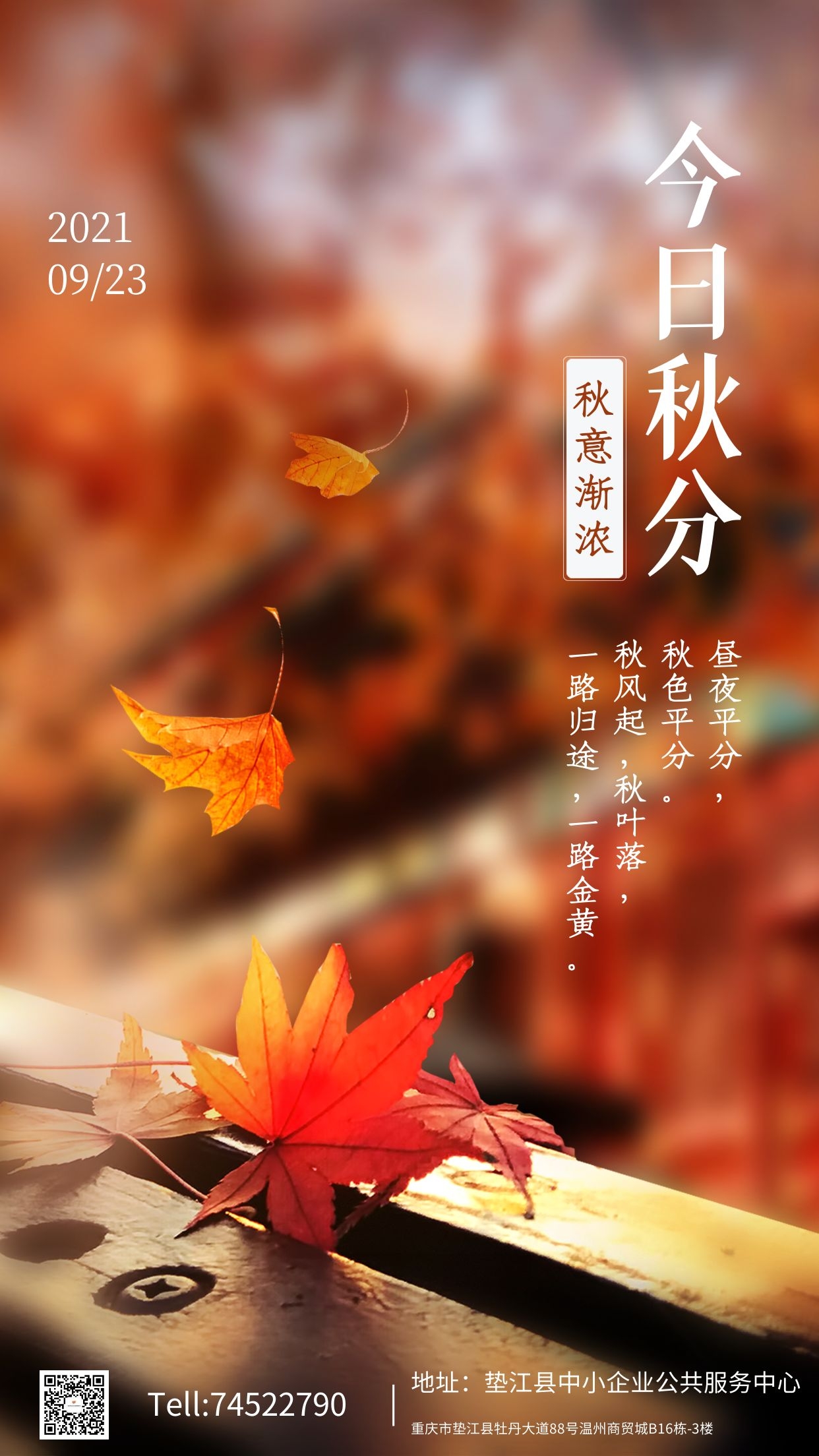 秋分.jpg