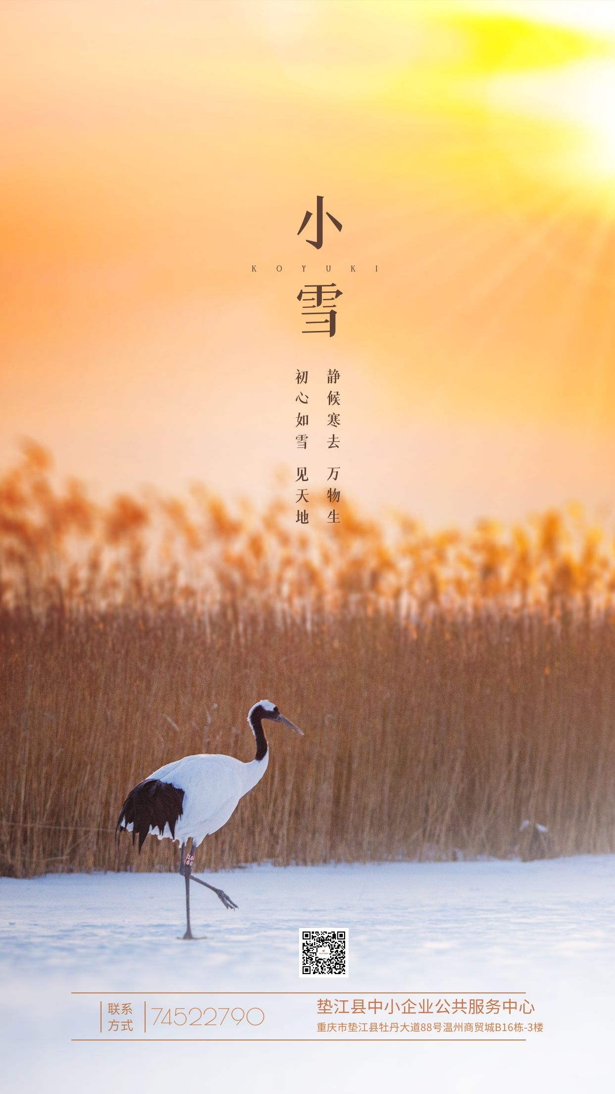 小雪.jpg