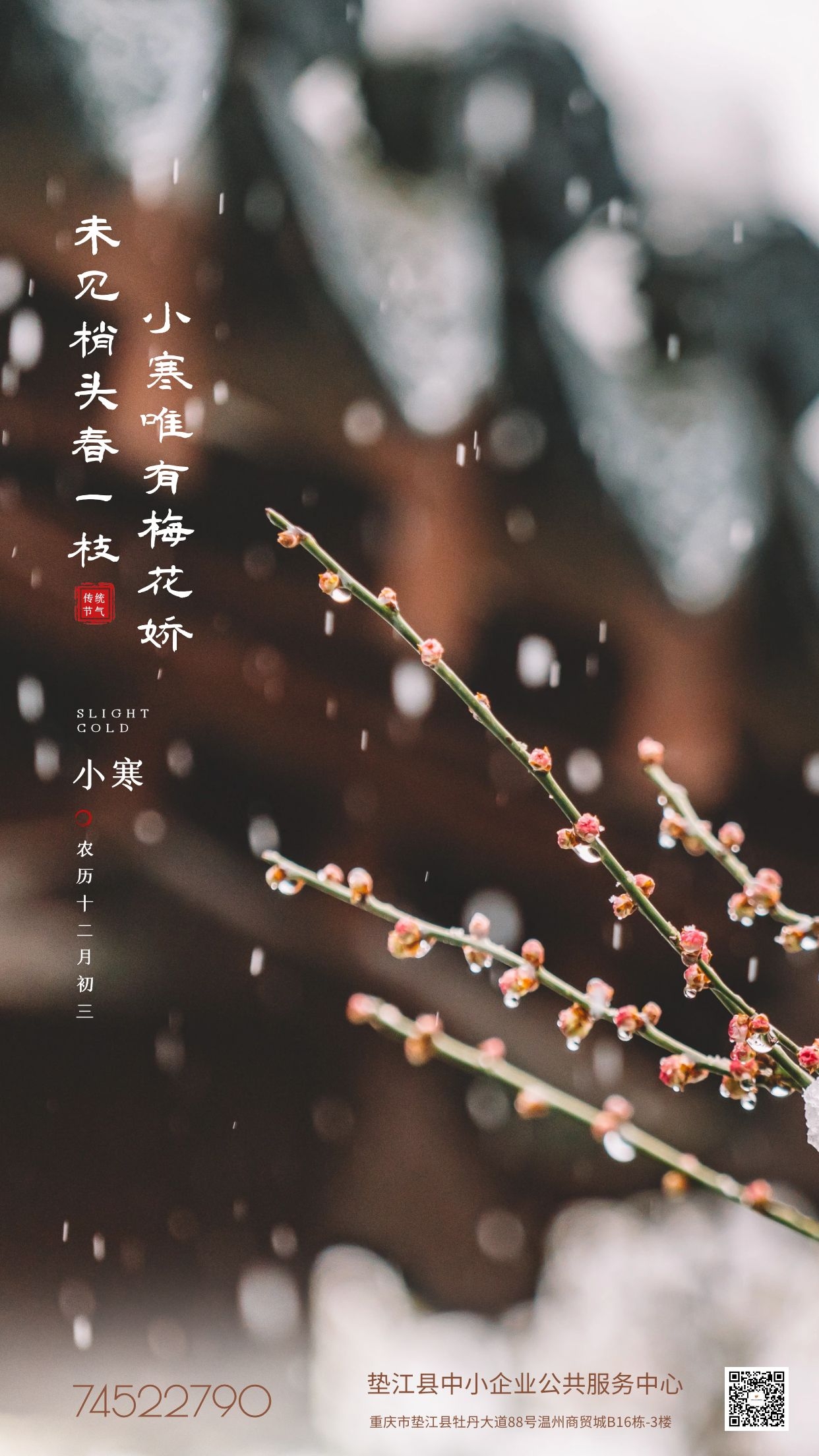 小寒.jpg