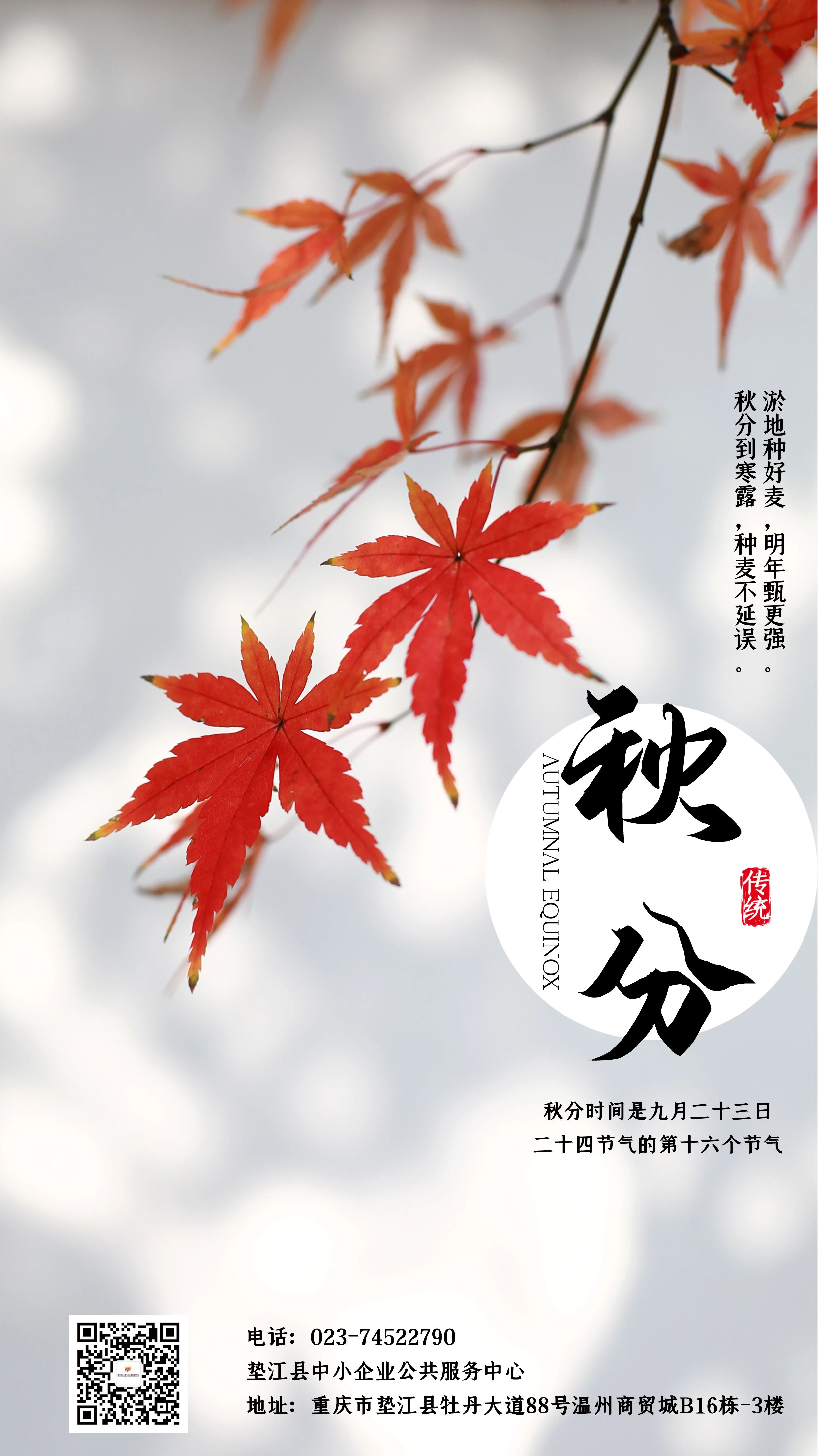 秋分.jpg