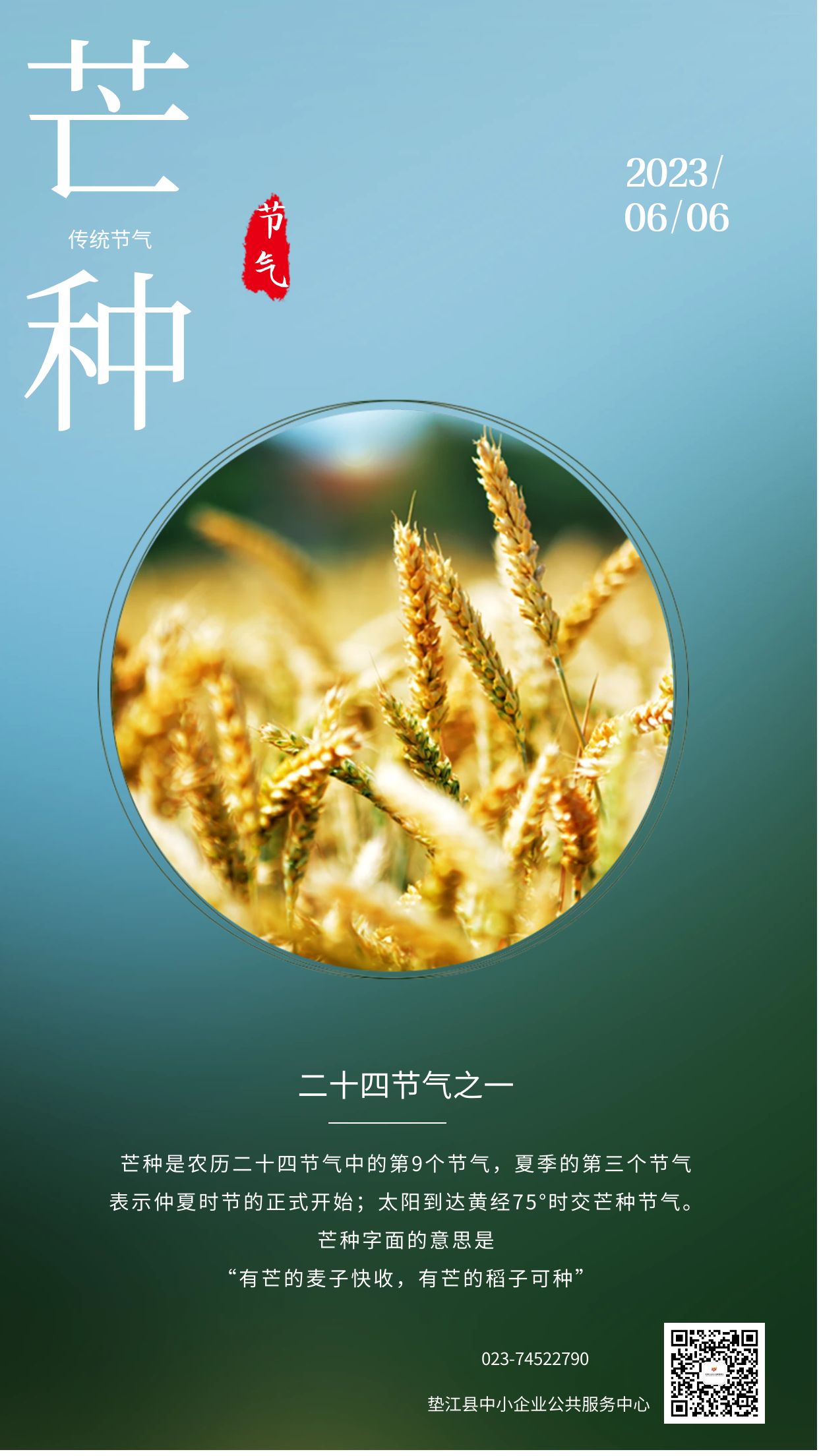 芒种 (1).jpg